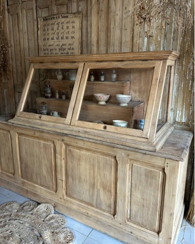 Ancienne vitrine de musée d'histoires naturelles