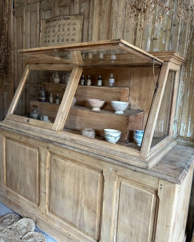 Ancienne vitrine de musée d'histoires naturelles