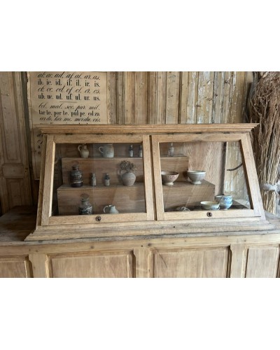 Ancienne vitrine de musée d'histoires naturelles