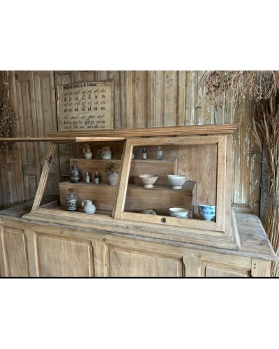 Ancienne vitrine de musée d'histoires naturelles