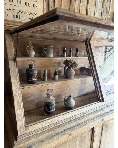 Ancienne vitrine de musée d'histoires naturelles