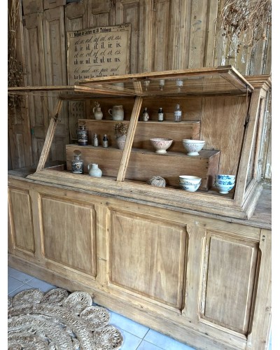 Ancienne vitrine de musée d'histoires naturelles