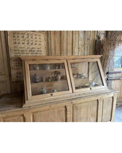 Ancienne vitrine de musée d'histoires naturelles
