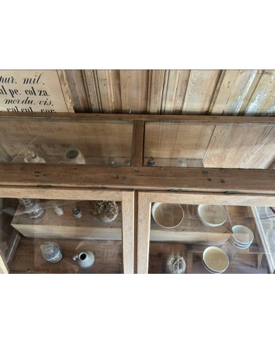 Ancienne vitrine de musée d'histoires naturelles