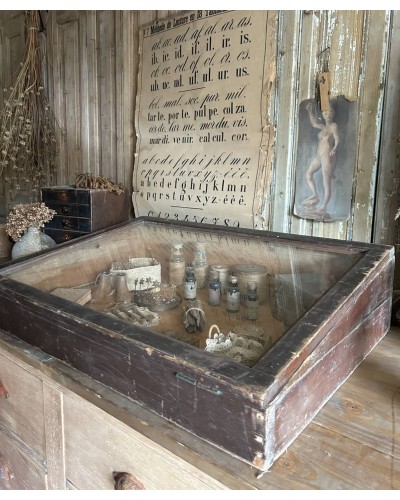 Ancienne vitrine de comptoir en bois et verre