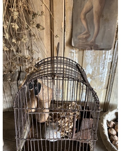 Ancienne cage à oiseaux