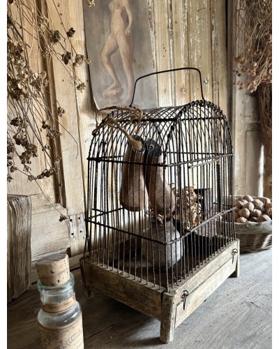 Ancienne cage à oiseaux
