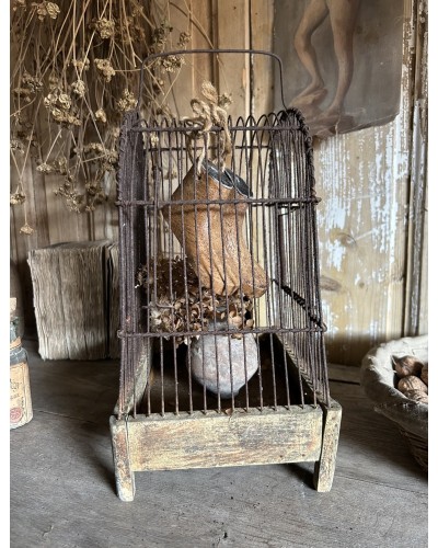 Ancienne cage à oiseaux