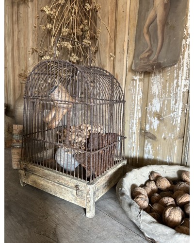 Ancienne cage à oiseaux
