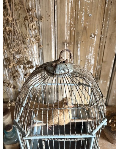 Ancienne cage à oiseaux – sublime patine bleu pâle