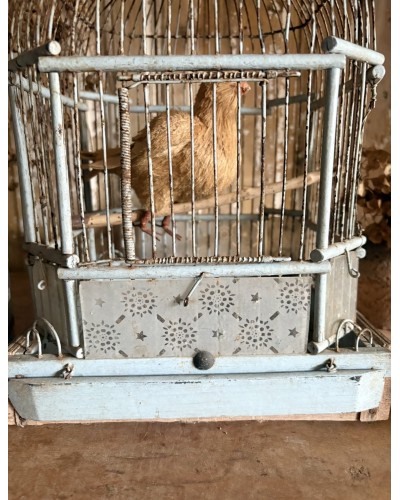 Ancienne cage à oiseaux – sublime patine bleu pâle