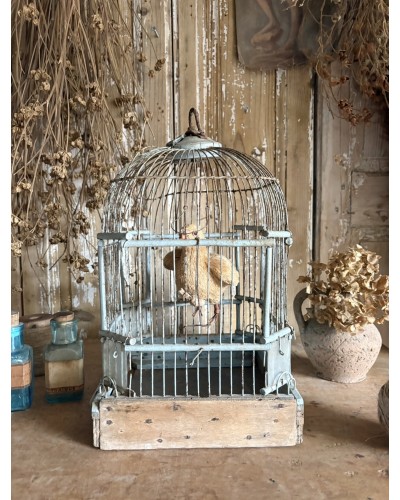 Ancienne cage à oiseaux – sublime patine bleu pâle