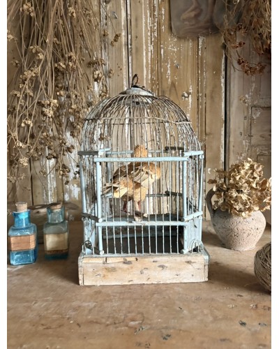 Ancienne cage à oiseaux – sublime patine bleu pâle
