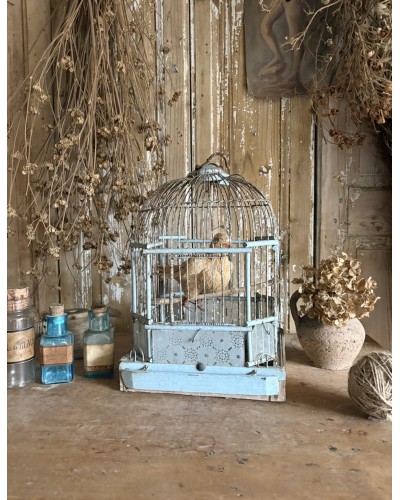 Ancienne cage à oiseaux – sublime patine bleu pâle
