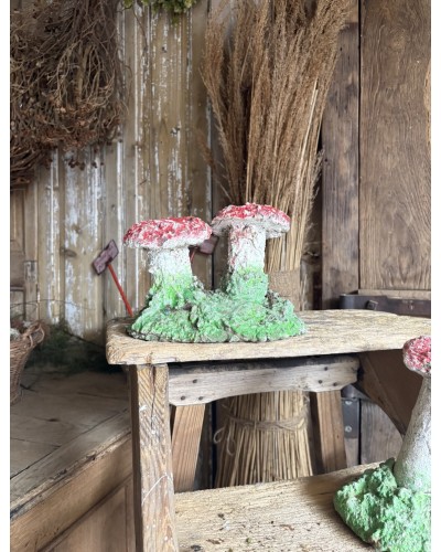 Joli duo de champignons décoratifs de jardin