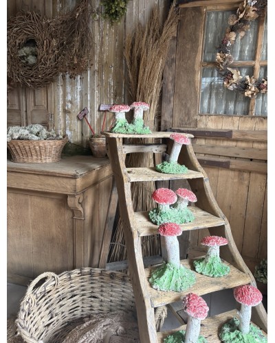 Joli duo de champignons décoratifs de jardin