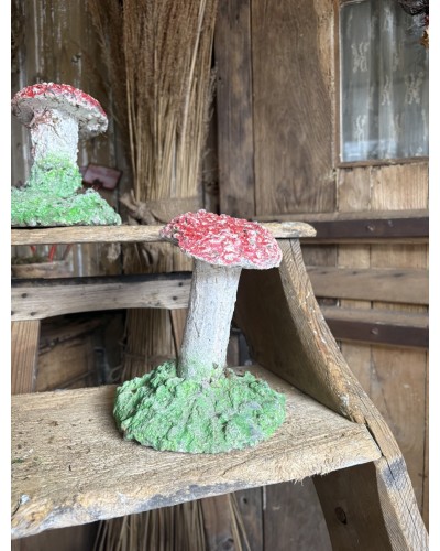 Joli champignon décoratif de jardin