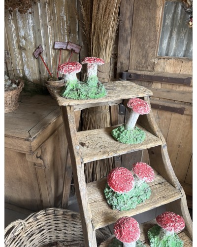 Joli champignon décoratif de jardin