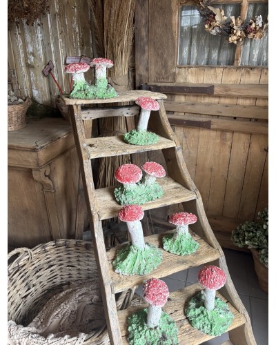 Joli champignon décoratif de jardin
