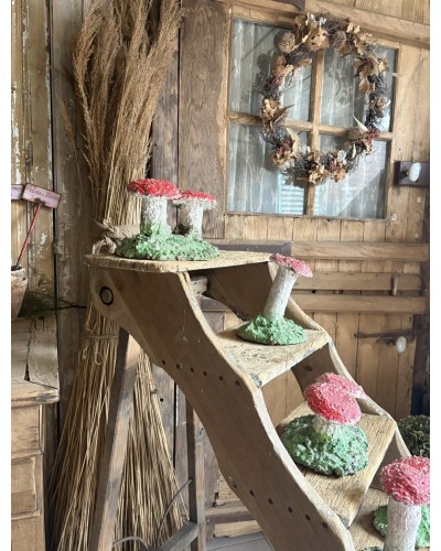 Joli champignon décoratif de jardin