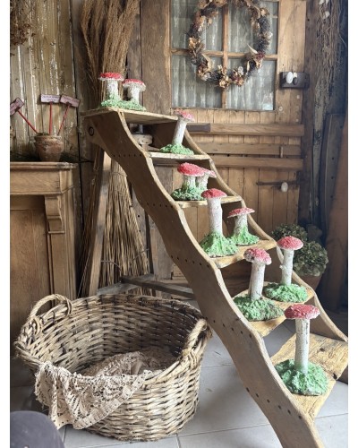 Joli champignon décoratif de jardin