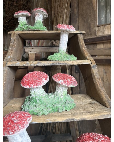 Joli duo de champignons décoratif