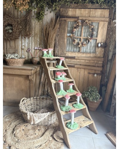 Joli duo de champignons décoratif