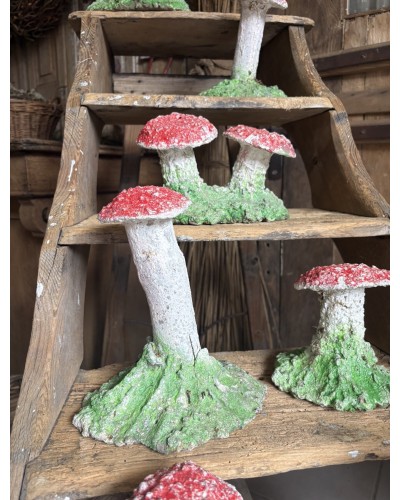 Joli champignon décoratif de jardin