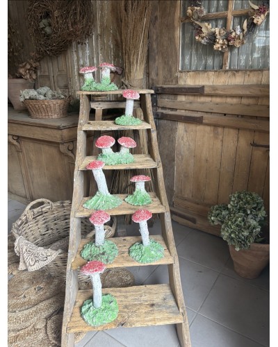 Joli champignon décoratif de jardin