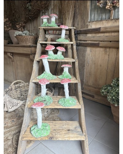 Joli champignon décoratif de jardin