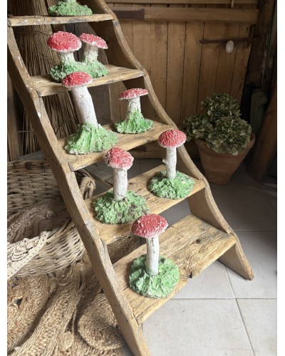 Joli champignon décoratif de jardin