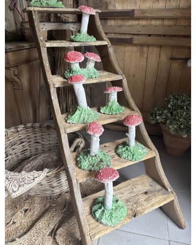 Joli champignon décoratif de jardin