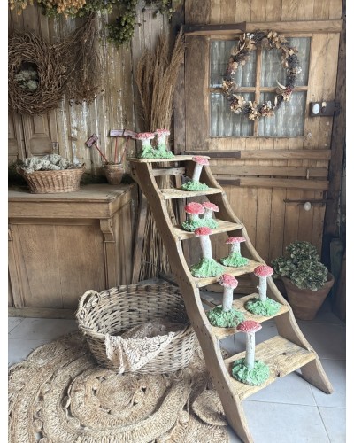 Joli champignons décoratif de jardin