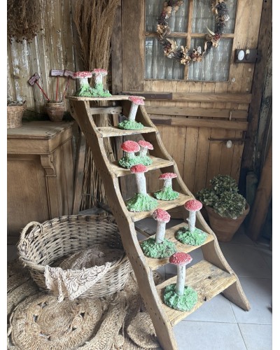 Joli champignons décoratif de jardin