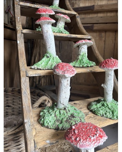 Joli champignon décoratif de jardin