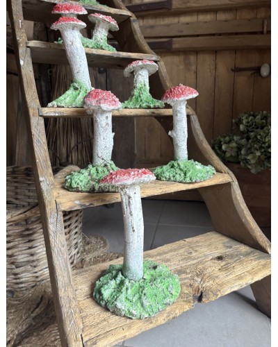 Joli champignon décoratif de jardin
