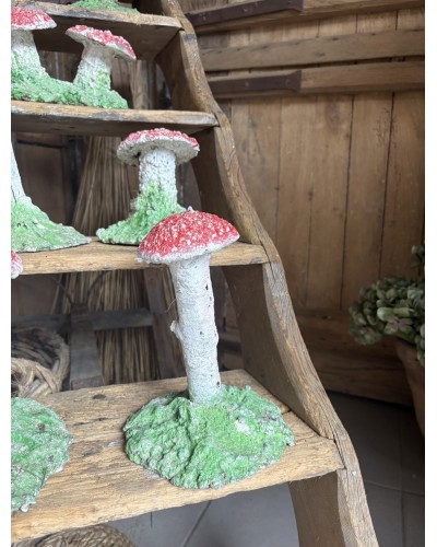 Joli champignon decoratif de jardin