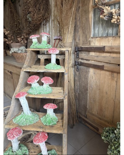 Joli champignon decoratif de jardin