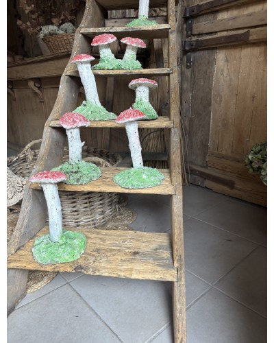 Joli champignon decoratif de jardin