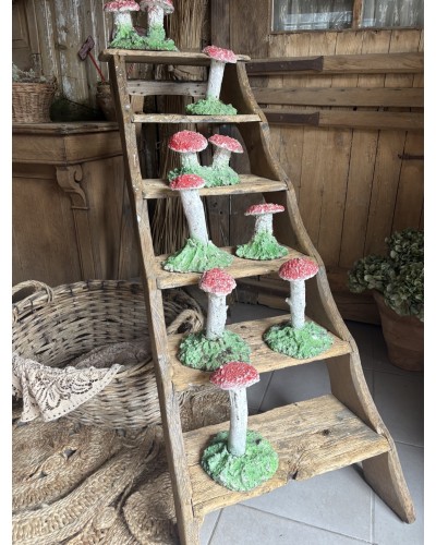Joli champignon decoratif de jardin