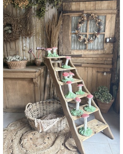 Joli champignon décoratif de jardin