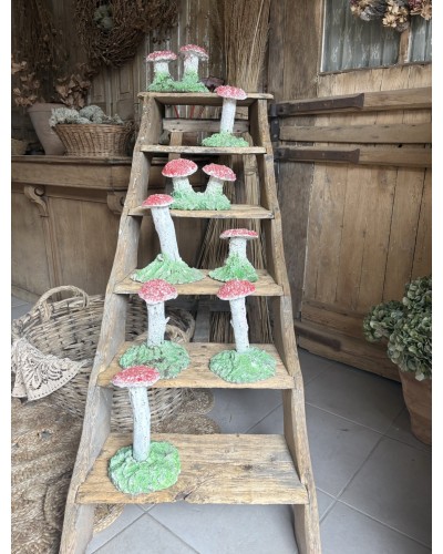 Joli champignon décoratif de jardin